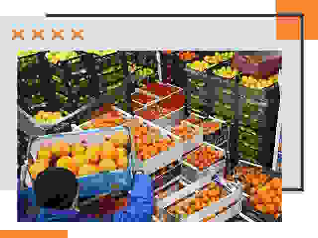 Перевозка скоропортящихся продуктов в Заинске